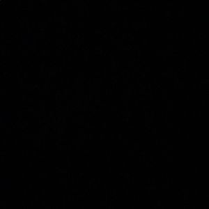 Meet your Posher, Zaire